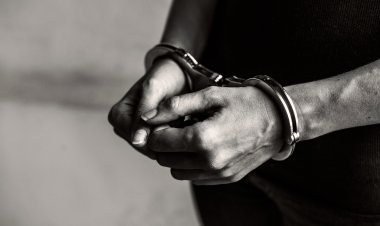 Protect Your Rights with a Criminal Defense Attorney