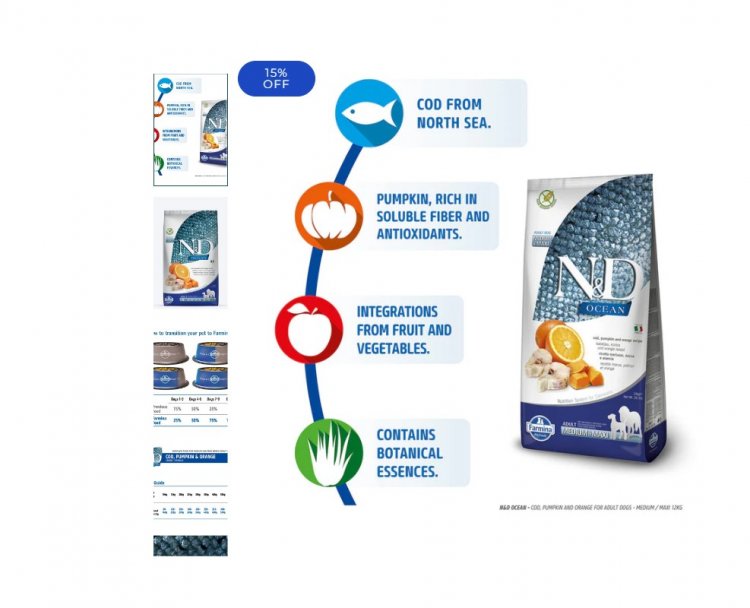 Top Reasons to Switch to Grain Free Wet Dog Food